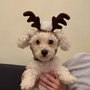 Meet your Posher, Jou